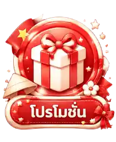 โปรโมชั่น3